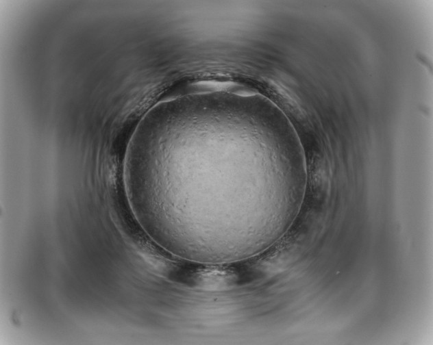 X0000097300315200802151445