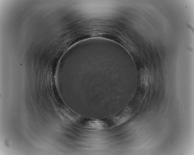 X0000097300316200802151445