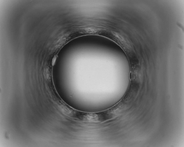 X0000097300317200802151445