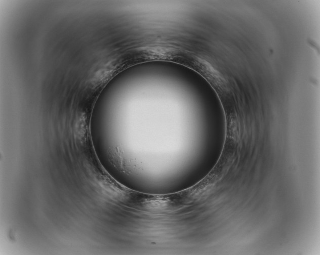 X0000097300318200802151445