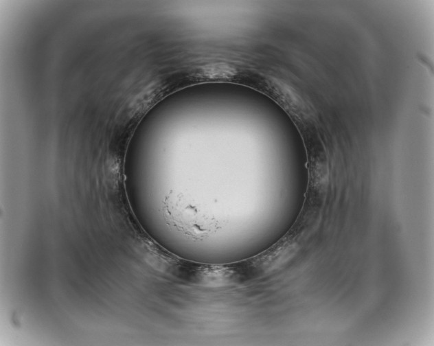 X0000097300321200802151444
