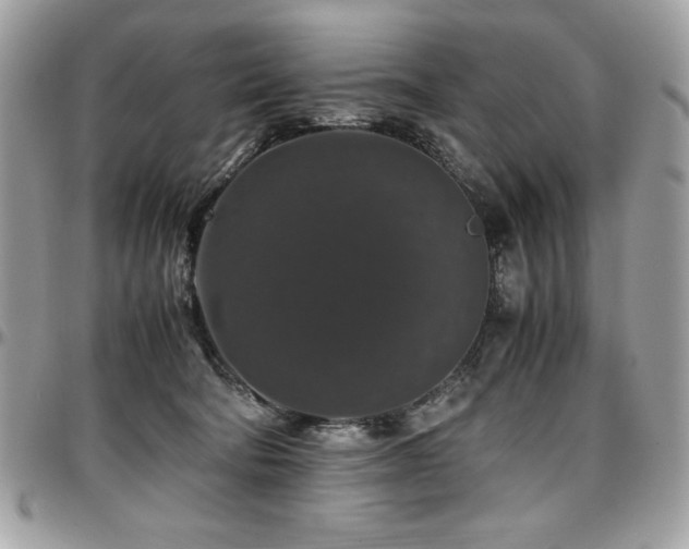 X0000097300322200802151444