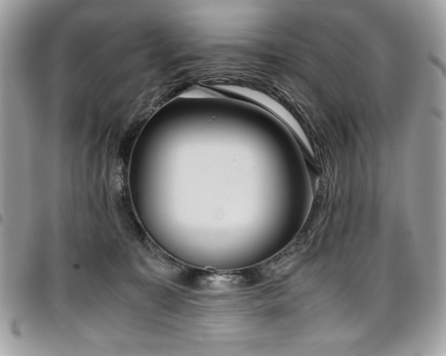 X0000097300323200802151444