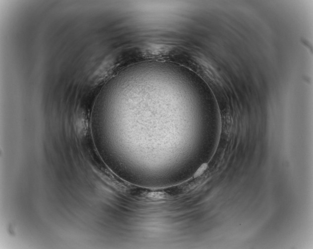 X0000097300324200802151444