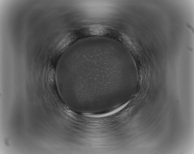 X0000097300325200802151444