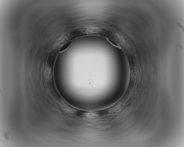 X0000097300327200802151444
