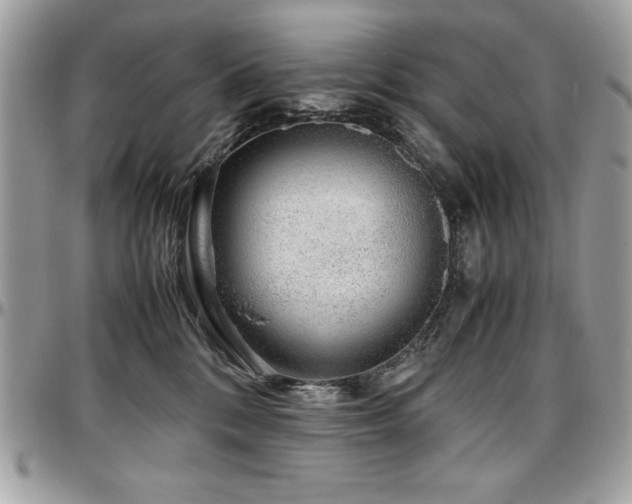 X0000097300328200802151444