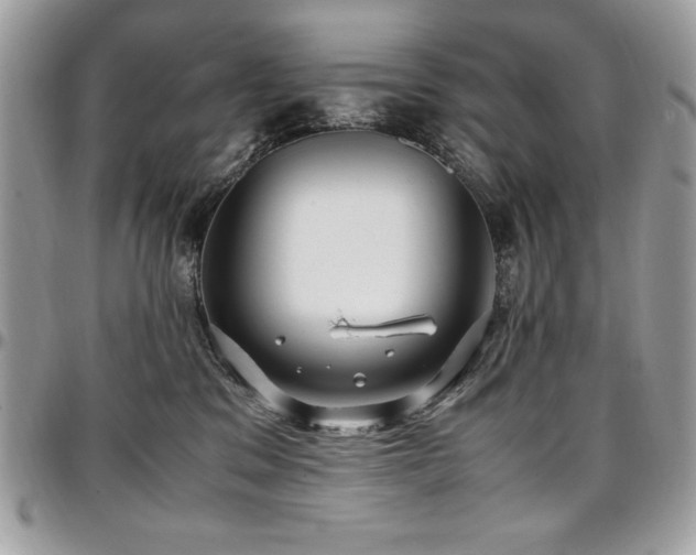 X0000097300329200802151444