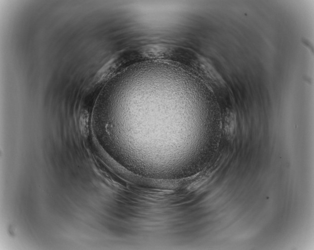 X0000097300332200802151444