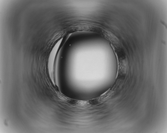X0000097300333200802151444