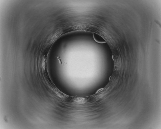 X0000097300334200802151444