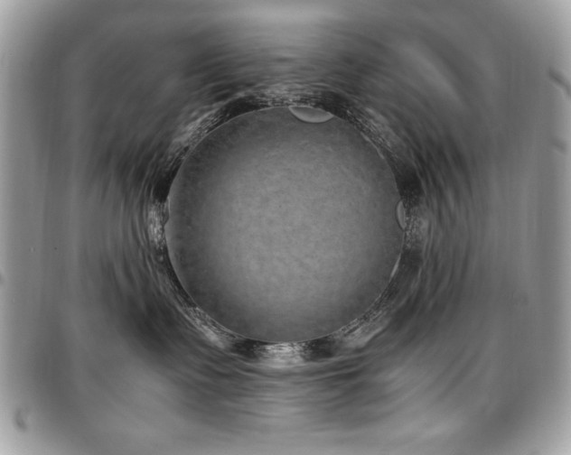 X0000097300335200802151444