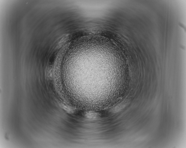 X0000097300336200802151444