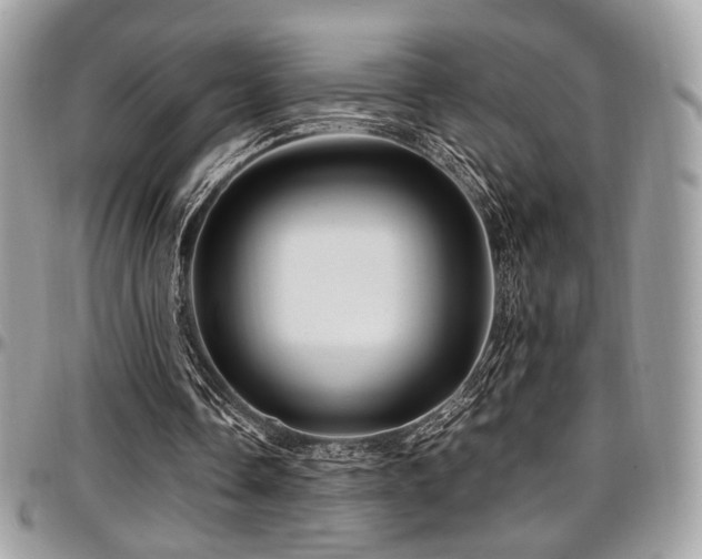 X0000097300338200802151444