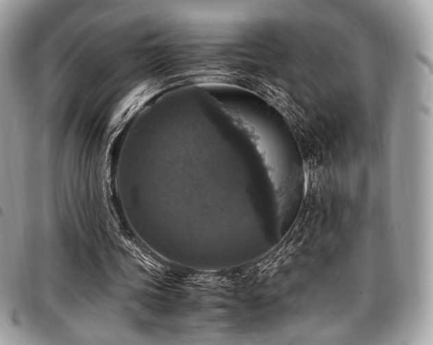 X0000097300339200802151444