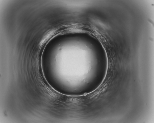 X0000097300341200802151444