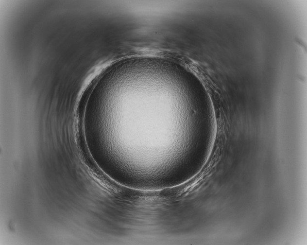 X0000097300342200802151444