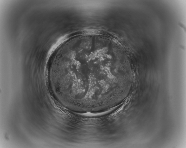 X0000097300343200802151444
