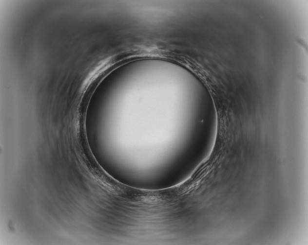 X0000097300344200802151444