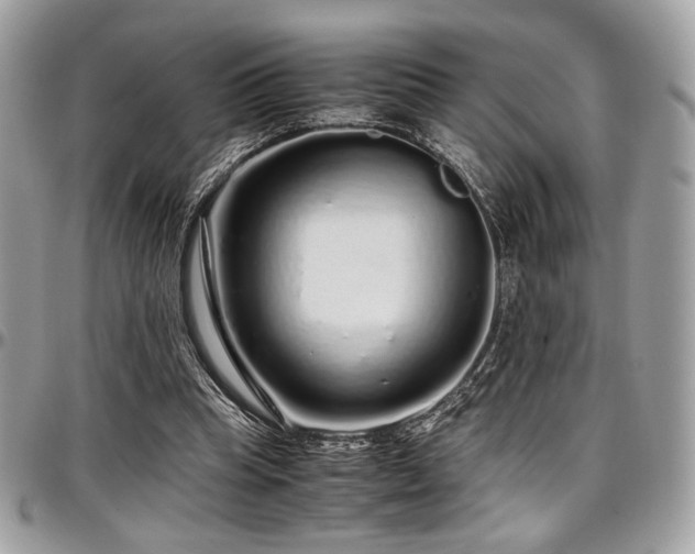 X0000097300345200802151444