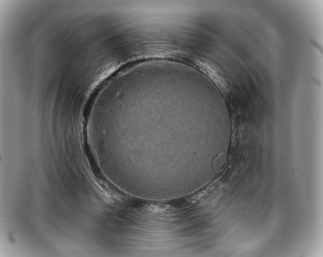 X0000097300346200802151444