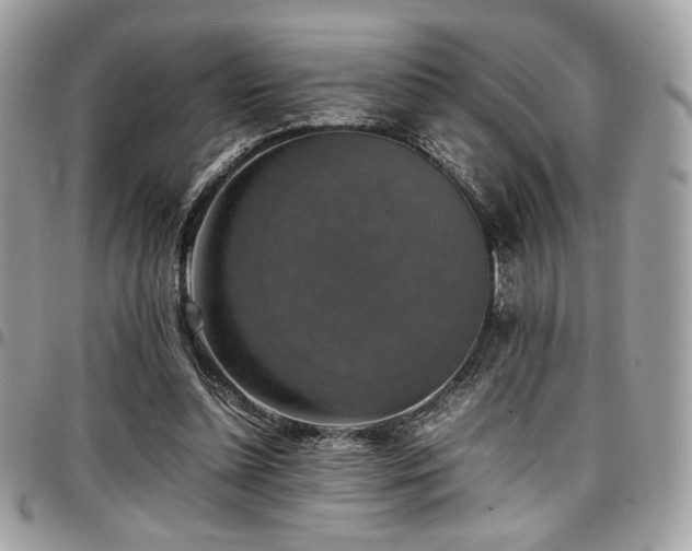 X0000097300348200802151444