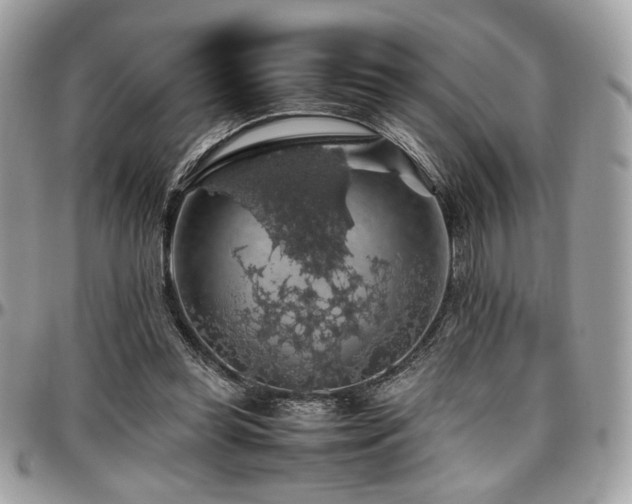 X0000097300349200802151444