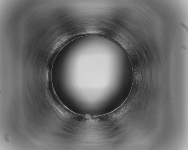 X0000097300350200802151444