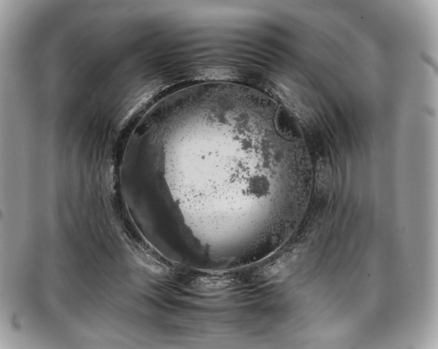 X0000097300351200802151444
