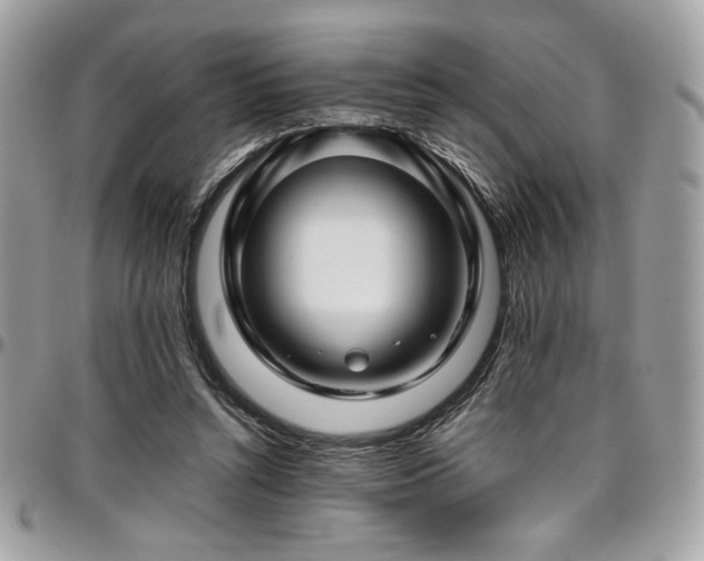 X0000097300352200802151444