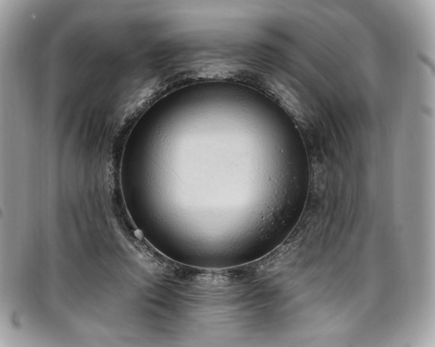 X0000097300354200802151444