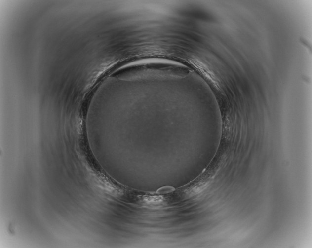 X0000097300355200802151444