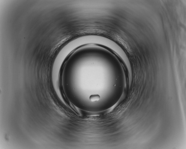 X0000097300356200802151444