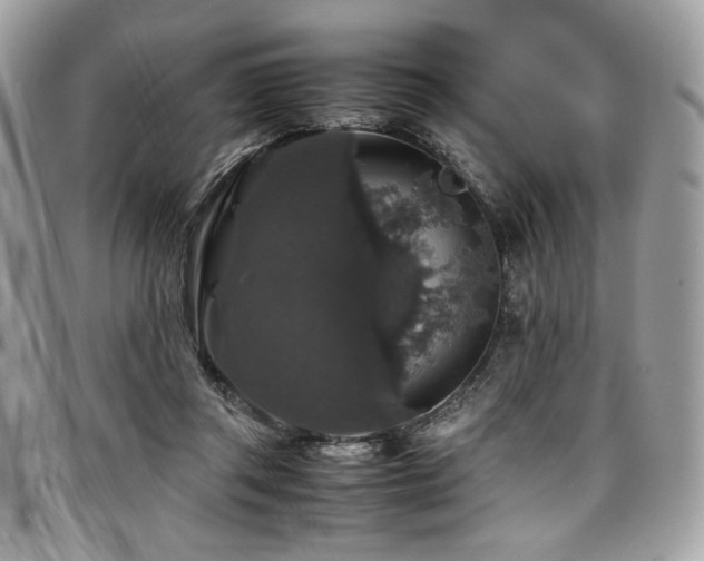 X0000097300357200802151444