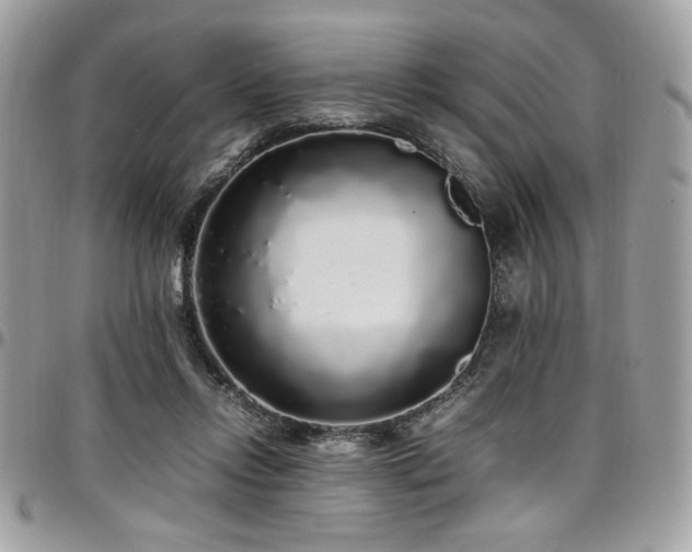 X0000097300358200802151444