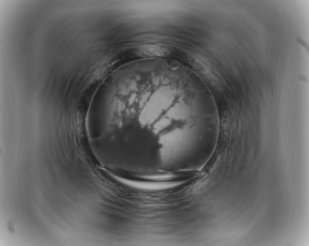 X0000097300359200802151444