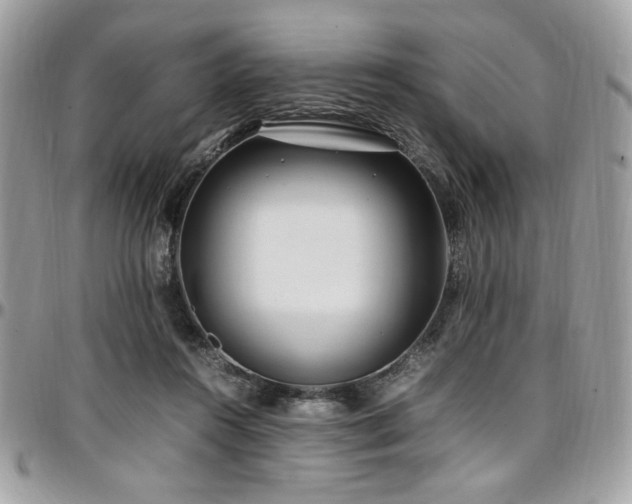 X0000097300360200802151444