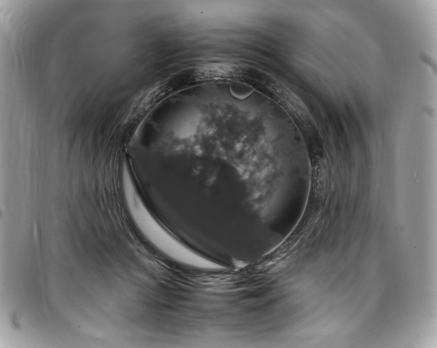 X0000097300361200802151444