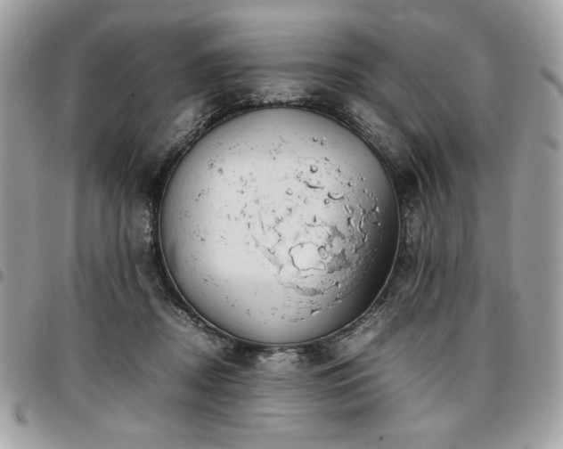 X0000097300362200802151444