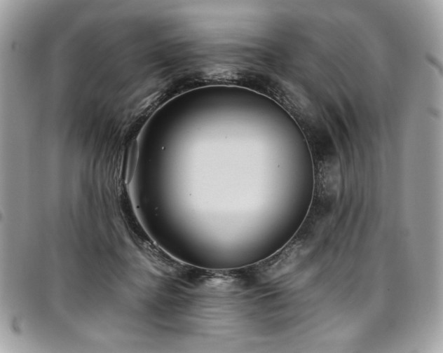 X0000097300364200802151444
