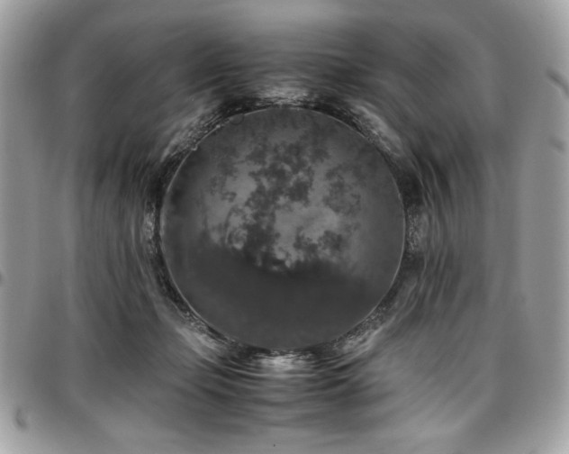 X0000097300365200802151444