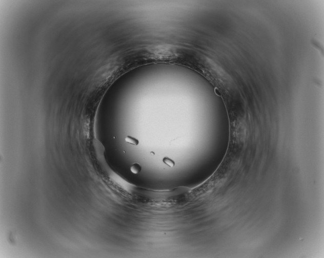 X0000097300368200802151444