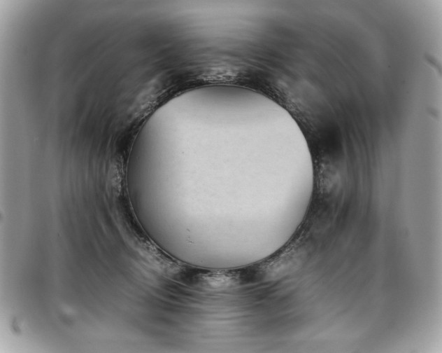 X0000097300370200802151444