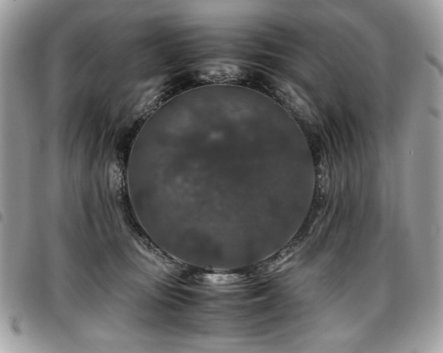 X0000097300371200802151444