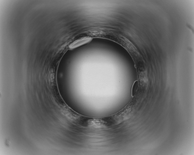 X0000097300372200802151444