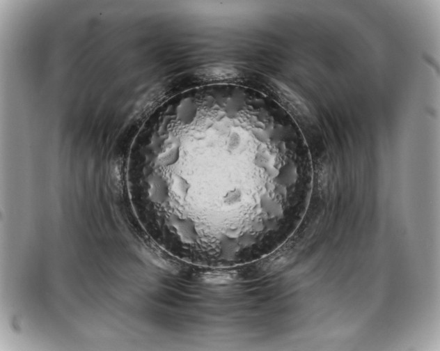 X0000097300373200802151444