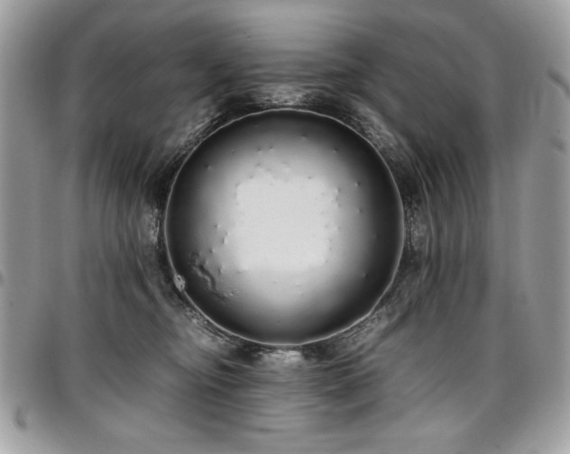 X0000097300374200802151444