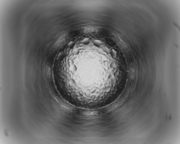 X0000097300375200802151444