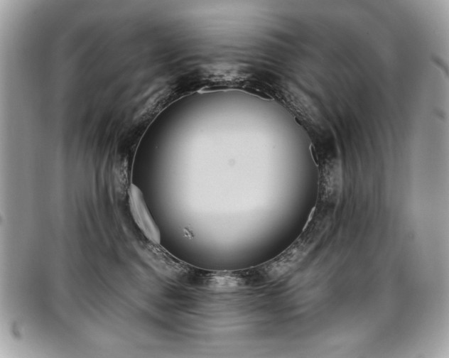 X0000097300376200802151444