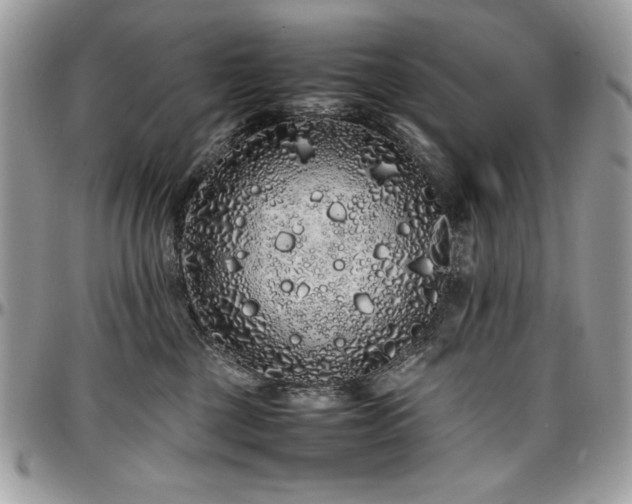 X0000097300377200802151444